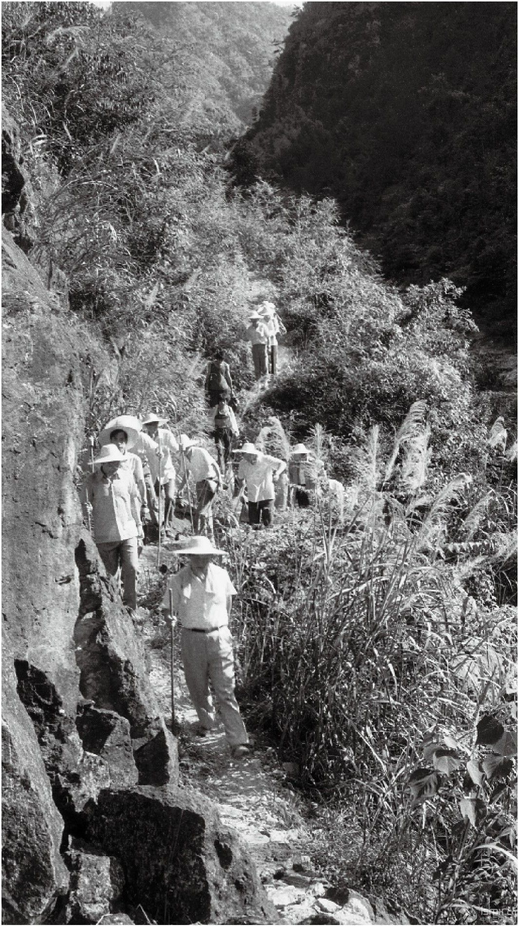 19897(x)ƽһеیhhl(xing){(dio)